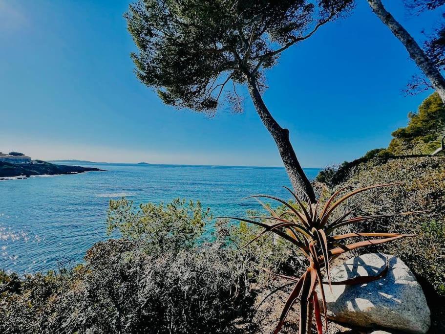 Escapade Au Coeur De Apartment Sanary-sur-Mer